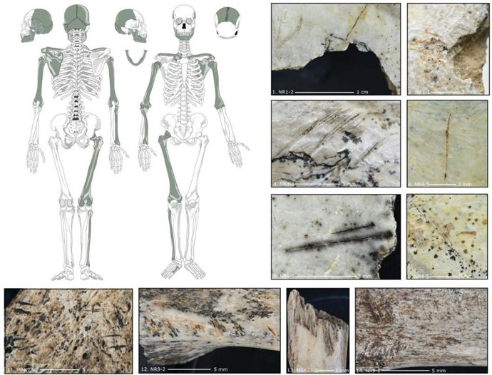 Marcas de corte e impacto indicando canibalismo em várias partes humanas do esqueleto da caverna Maszycka.