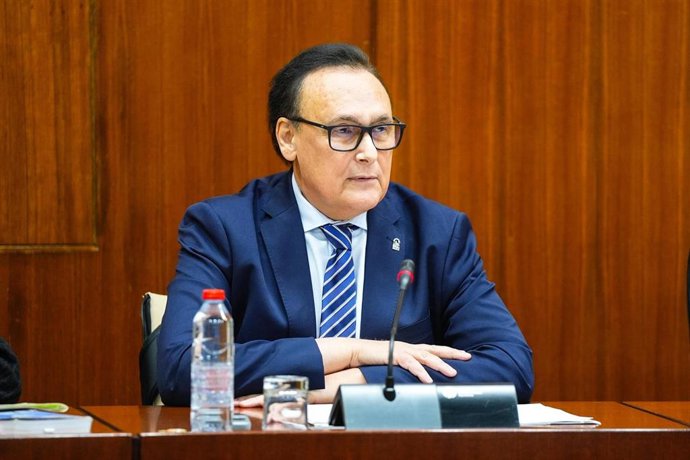 El consejero de Universidad, Innovación e Investigación, José Carlos Villamandos, en comparecencia en comisión parlamentaria el 11 de febrero de 2025.