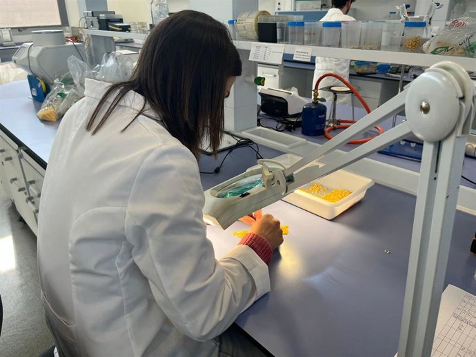 Archivo - Una trabajadora 