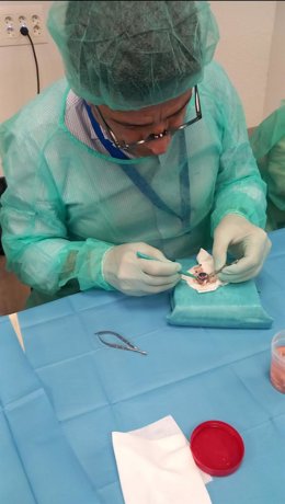 El Hospital de Antequera vuelve a liderar por tercer año consecutivo la donación de córneas entre los hospitales comarcales andaluces