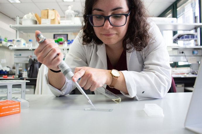 O estudo revela como as bactérias se deslocam e "conseguem colonizar os solos agrícolas e os organismos vivos".