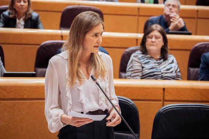 La vicepresidenta tercera y ministra para la Transición Ecológica y el Reto Demográfico, Sara Aagesen, durante una sesión de control al Gobierno en el Senado, en Madrid (España)