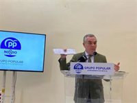 Bueno (PP) niega "haber cobrado sobresueldos" y justifica los pagos con "gastos de funcionamiento del partido"