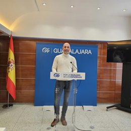 El vicesecretario del PP en Guadalajara, José Miguel Benítez.