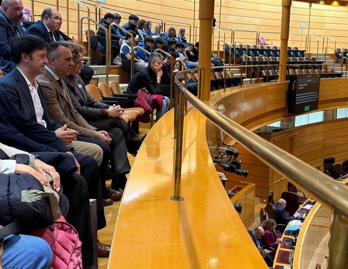 El presidente de la Diputación de Granada, Francis Rodríguez, en el Senado este miércoles.