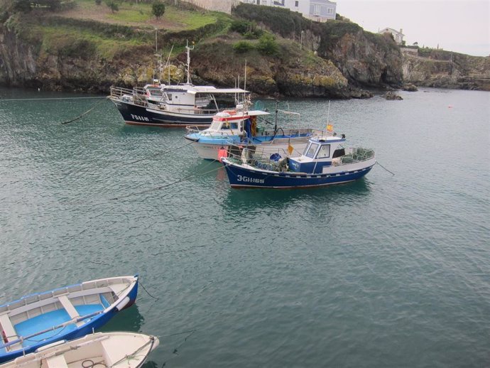 Archivo - Barcos de pesca en Tapia de Casariego (Asturias).