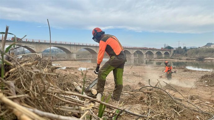 Trabajos en el Parque Natural del Túria tras la dana