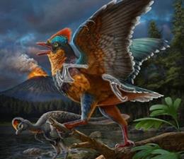 Reconstrução da vida da ave jurássica Baminornis zhenghensis da fauna de Zhenghe