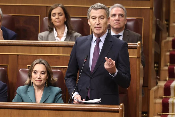 El presidente del PP, Alberto Núñez Feijóo, interviene durante una sesión de control, Congreso de los Diputados, a 12 de febrero de 2025, en Madrid (España).