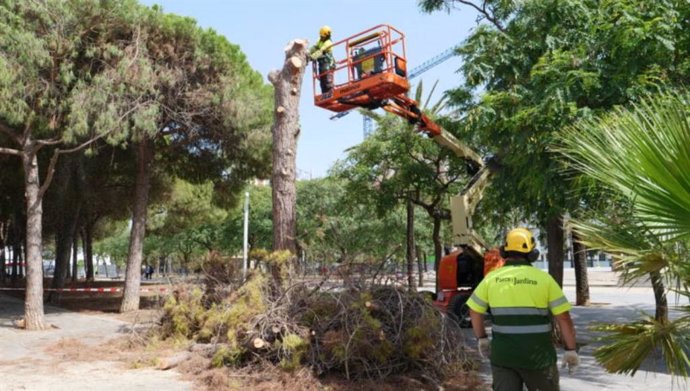 Tècnics de Parcs i Jardins de Barcelona 