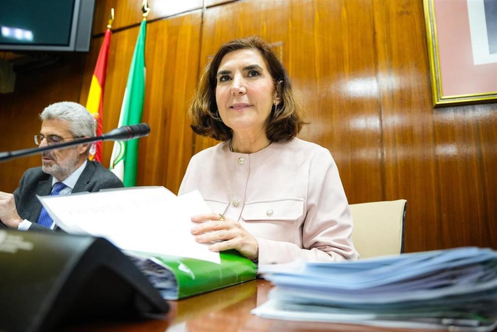 La consejera de Empleo, Empresa y Trabajo Autónomo, Rocío Blanco, en comisión parlamentaria, a 12 de febrero de 2025.