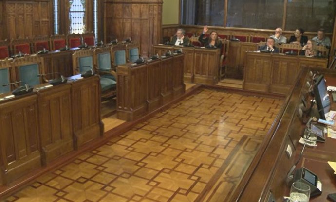 Comisión parlamentaria