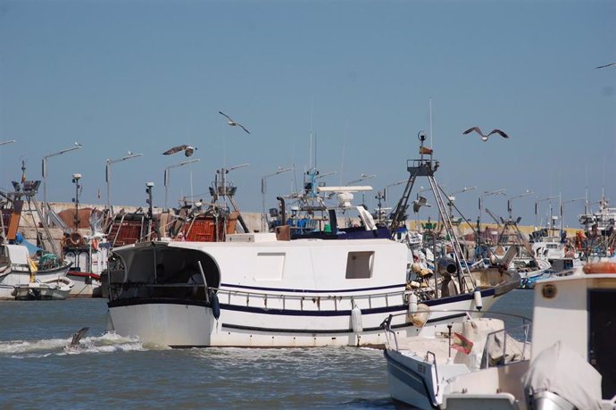 Barcos pesqueros enel puerto de Bonanza en Sanlúcar.