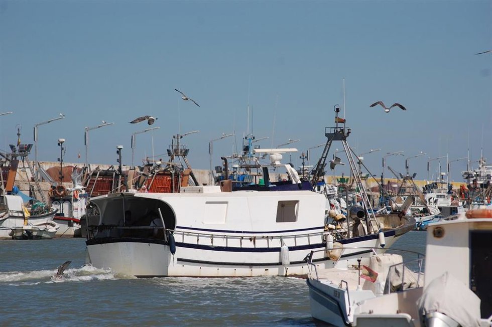 Barcos pesqueros enel puerto de Bonanza en Sanlúcar.