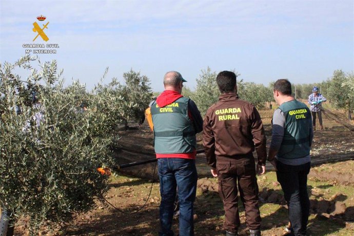 Archivo - Agentes de la Guardia Civil en una explotación agrícola