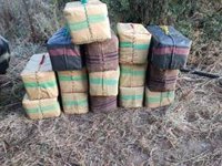 Plataforma antidroga pide a la coalición europea en Cádiz que se siente con Marruecos para "parar" el narcotráfico