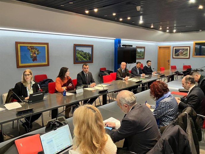 Comité asesor fondos europeos.