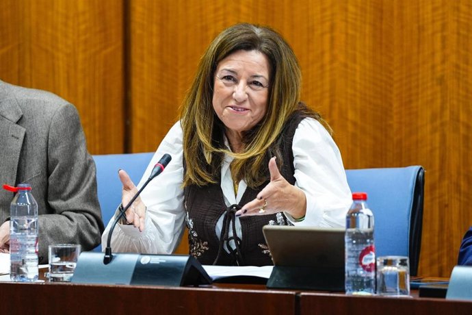La consejera de Desarrollo Educativo y Formación Profesional, Carmen Castillo, en comisión parlamentaria.