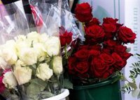 Agricultores andaluces ultiman un San Valentín con menos flores pero con ventas a "precios razonables" para el campo