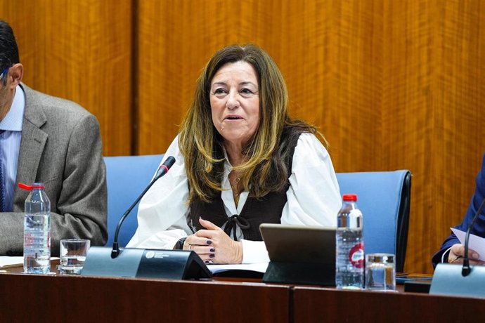 La consejera de Desarrollo Educativo de la Junta, María del Carmen Castillo, en la comisión parlamentaria del 13 de febrero de 2025.