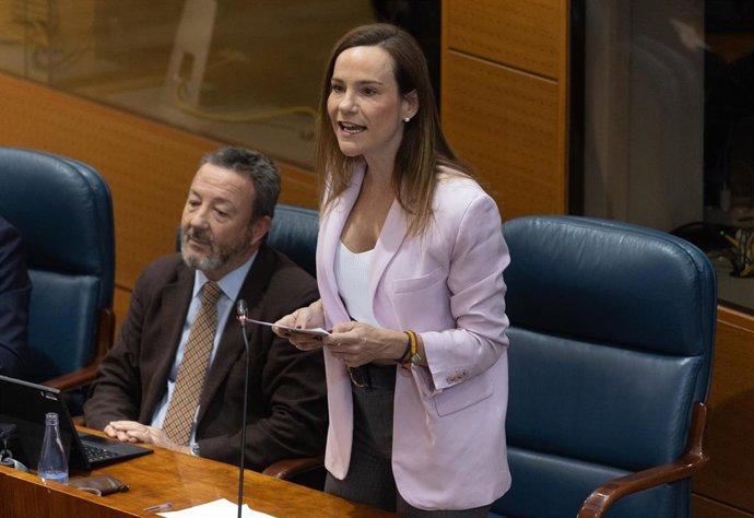 La portavoz de Vox en la Asamblea de Madrid, Isabel Pérez Moñino-Aranda