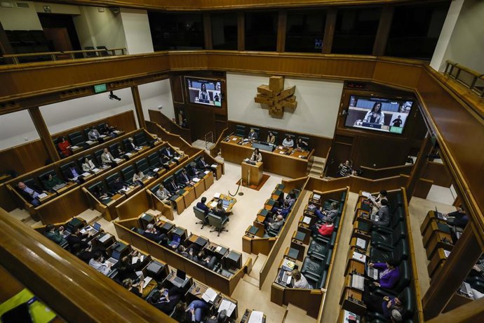 Archivo - El Pleno de la Cámara vasca ha debatido sobre los servicios de orientación en la enseñanza no universitaria
