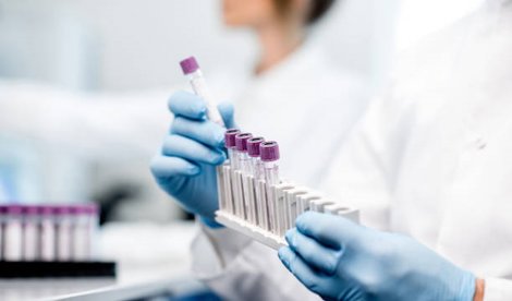Investigación