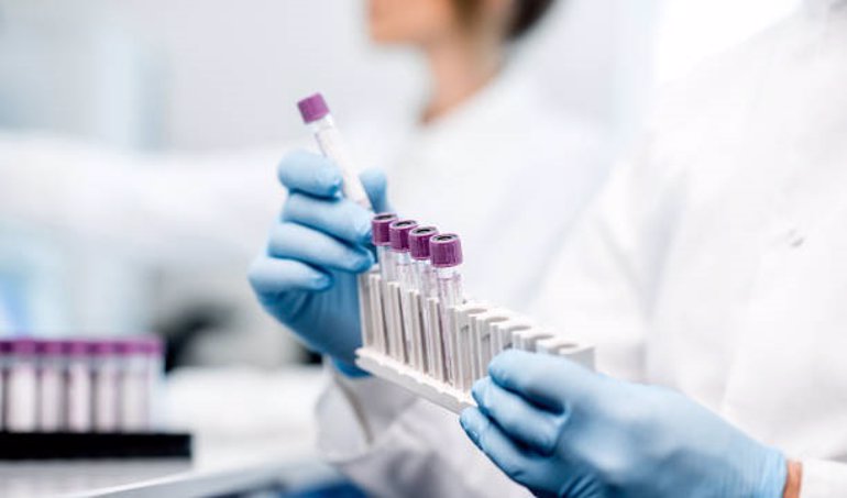 Investigación