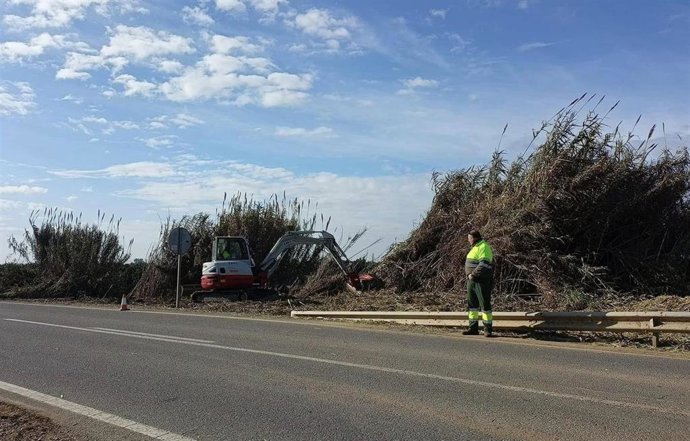 Comienza el desbroce y limpieza del arroyo Barbolí