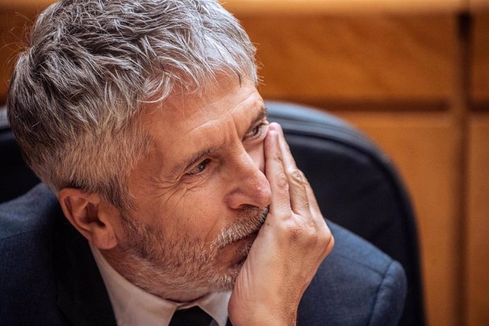 El ministro del Interior, Fernando Grande-Marlaska.