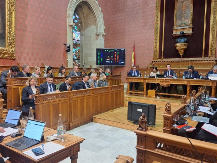 Pleno del Consell de Mallorca