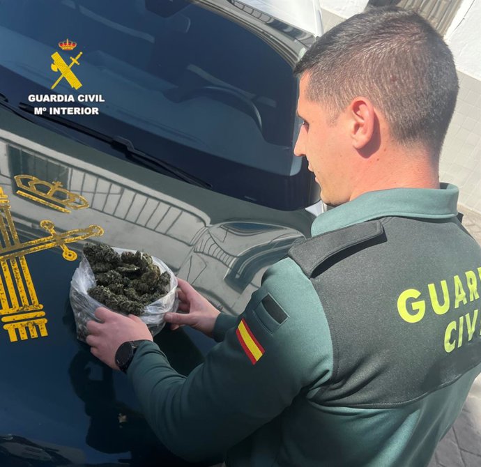 Marihuana confiscada