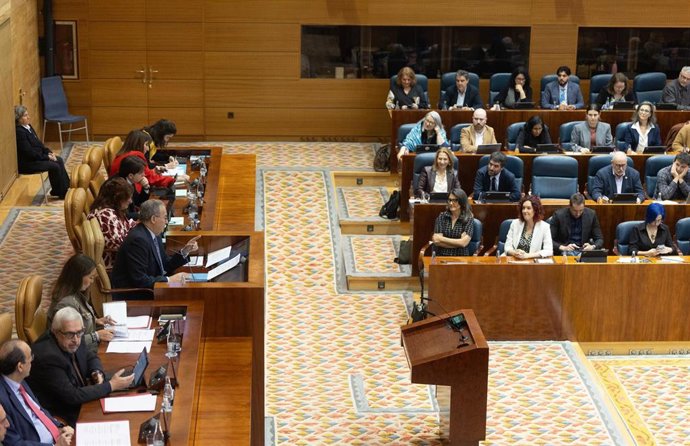 Pleno en la Asamblea de Madrid, a 13 de febrero de 2025, en Madrid (España). 