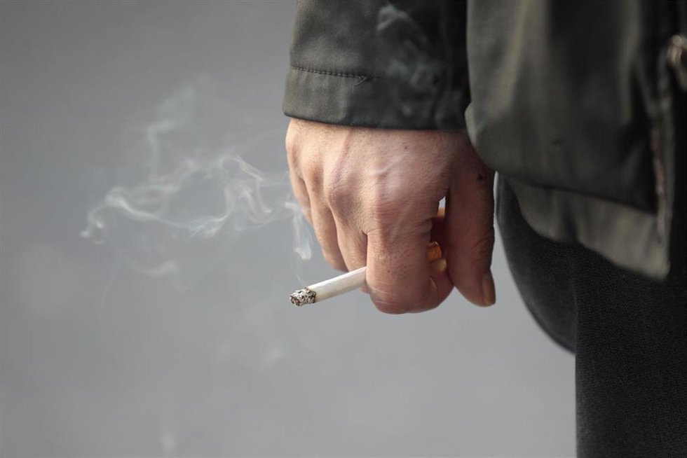Archivo - Recursos de tabaco.