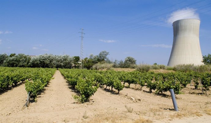 Archivo - La central nuclear d'Ascó (Tarragona)