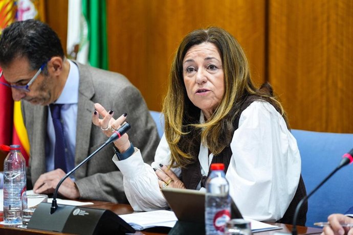 La consejera de Desarrollo Educativo y Formación Profesional de la Junta de Andalucía, María del Carmen Castillo, durante su intervención en el Parlamento de Andalucía en Sevilla.