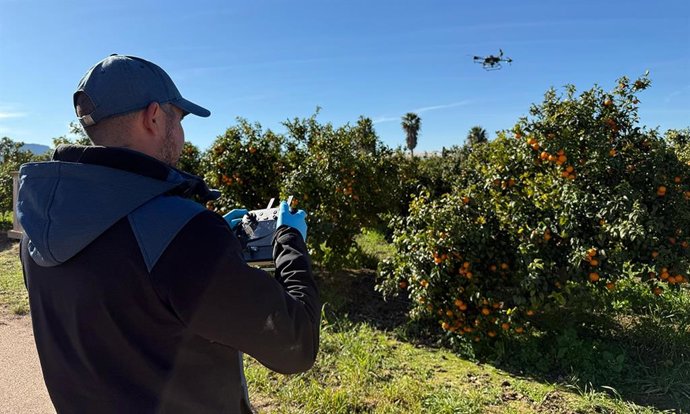 DRONSafe despega en la agricultura valenciana drones para mejorar el control de plagas