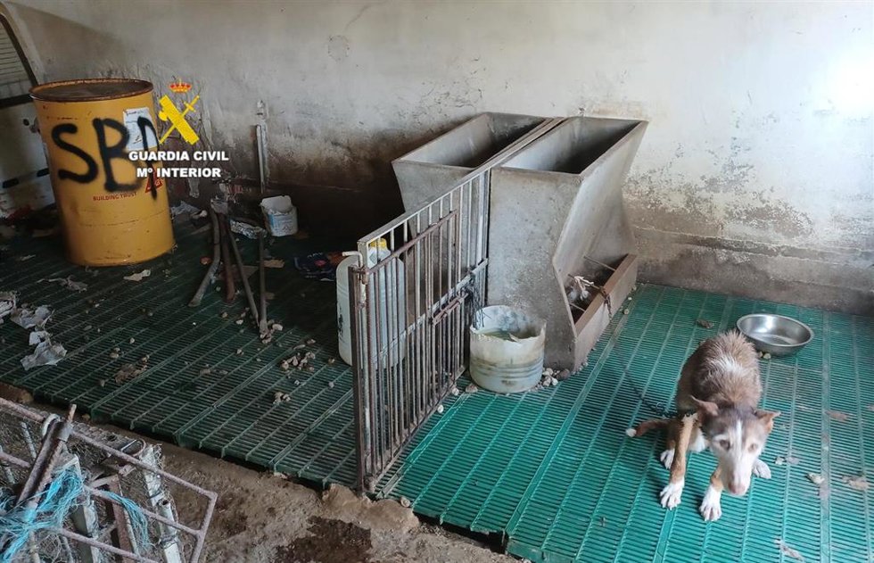 Imagen del lugar donde estaban los animales en Santa Magdalena