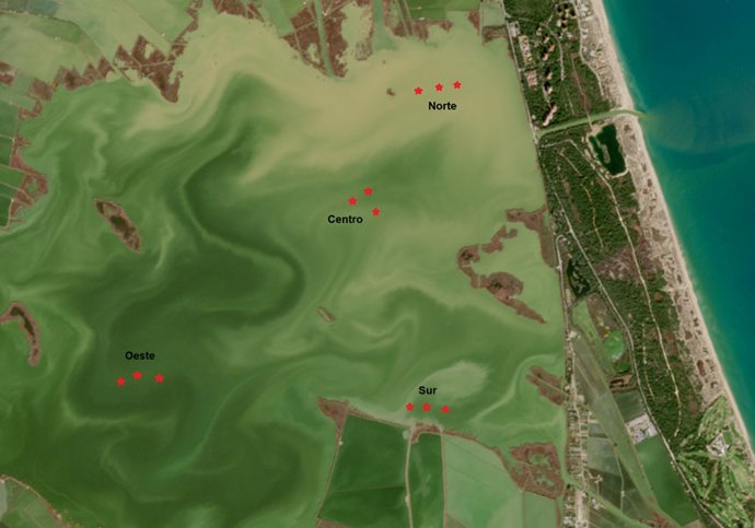 Mapa mostrando a localizao na Albufera das doze amostras obtidas para análise.