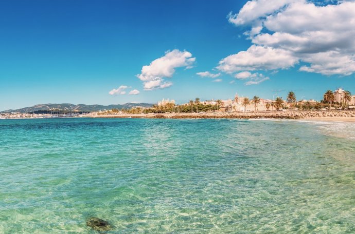Archivo - Playa con la Catedral de Mallorca de fondo