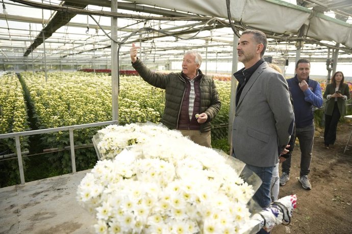 El consejero de Agricultura, Pesca, Agua y Desarrollo Rural, Ramón Fernández-Pacheco, durante una visita a la empresa de flor cortada 'Flores de Lebrija', ubicada en este municipio sevillano.