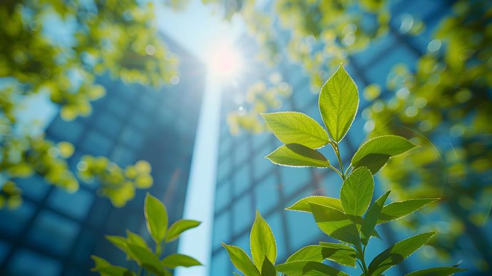 Pandora Energía, la propuesta de Pandora Future SA por unir sostenibilidad e inteligencia artificial