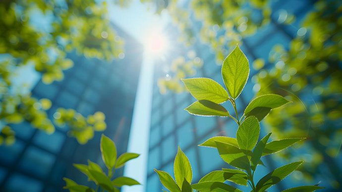 Pandora Energía, la propuesta de Pandora Future SA por unir sostenibilidad e inteligencia artificial