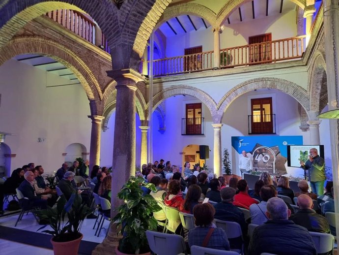 Archivo - Imagen de archivo de una actividad en el Centro Cultural Baños Árabes de Jaén
