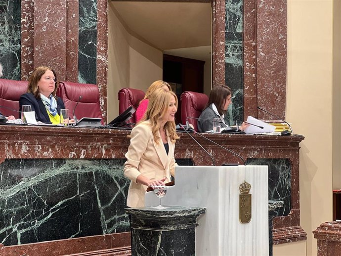 La consejera de Empresa, Empleo y Economía Social, Marisa López Aragón, durante su intervención en la Asamblea