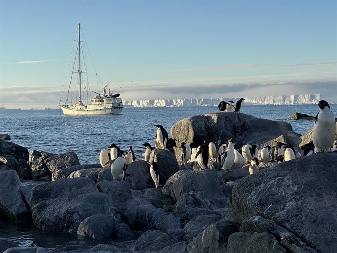 Imagen del velero Australis en la Antártida. /