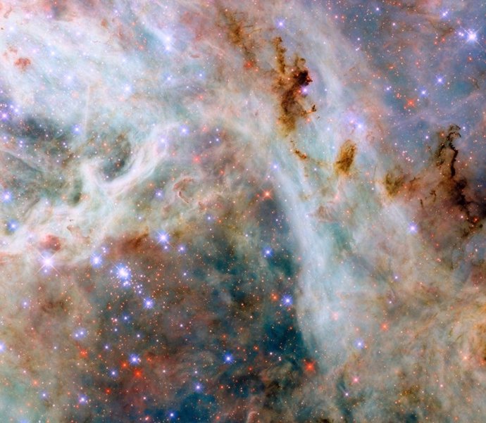 Este telescopio espacial Hubble de la NASA/ESA revela nubes de gas y polvo cerca de la Nebulosa de la Tarántula, ubicada en la Gran Nube de Magallanes, a unos 160.000 años luz de distancia.