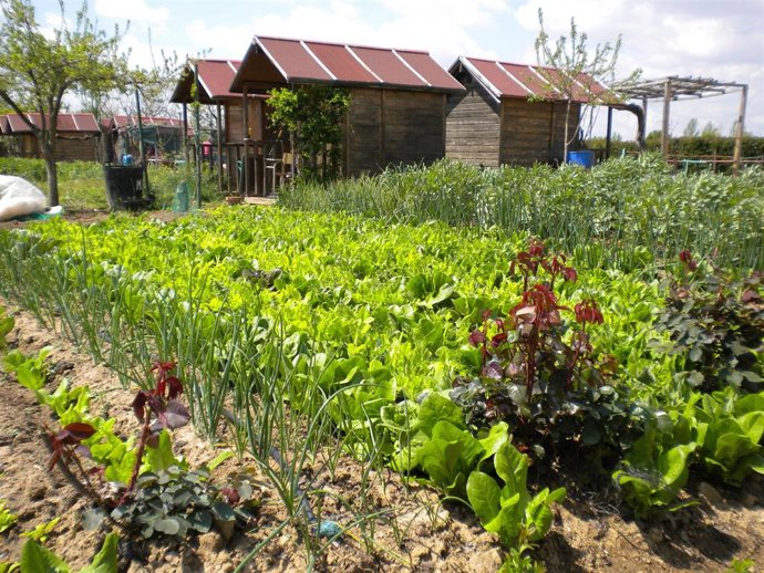 Archivo - Huertos de ocio