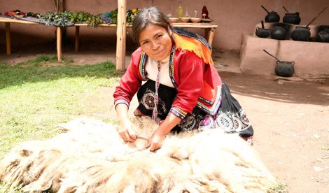 Cooperación y Desarrollo