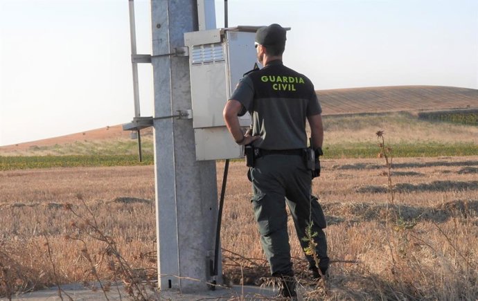 Un agente inspecciona el tendido eléctrico que ha provocado la muerte de varias aves, entre ellas de especies protegidas